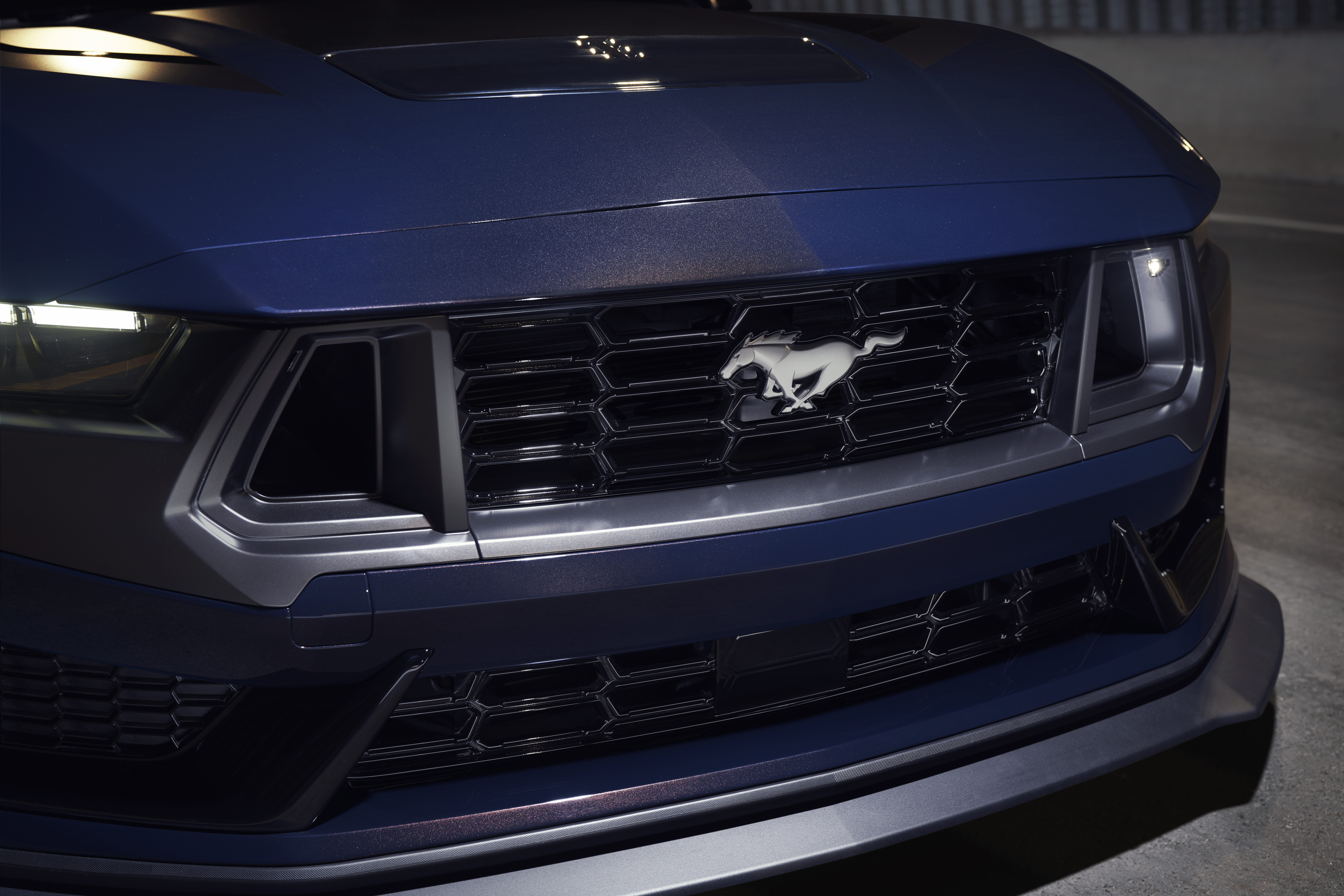 Mustang-Dark-Horse-02751318adb4316459.jpg
